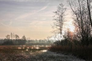 Kerstverhaal - De ster die de magie in zichzelf vond - La Touche Magique